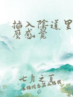 插入阴道里是什么感觉