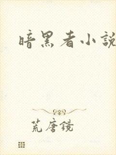 暗黑者小说