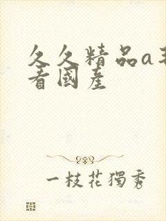 久久精品a毛片看国产