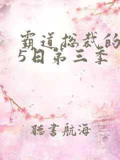 霸道总裁的365日第三季