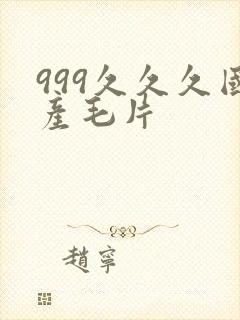 999久久久国产毛片