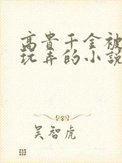 高贵千金被调教玩弄的小说