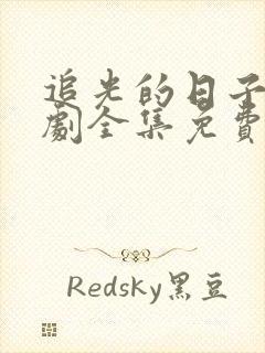 追光的日子电视剧全集免费观看,