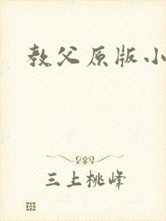 教父原版小说