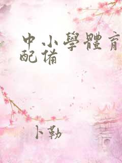 中小学体育教师配备