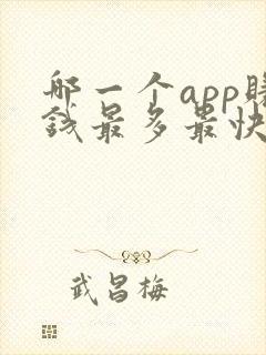 哪一个app赚钱最多最快?