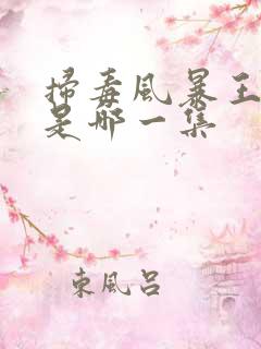 扫毒风暴王奇死是哪一集