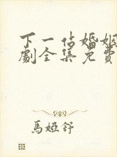 下一站婚姻电视剧全集免费播放