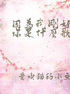 因为我刚好遇见你是什么歌