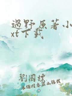 过野原著小说txt下载