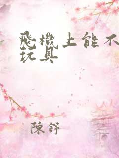 飞机上能不能带玩具