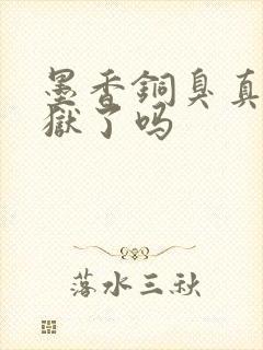 墨香铜臭真的入狱了吗