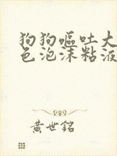 狗狗呕吐大量白色泡沫粘液