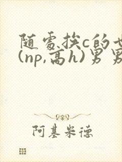 随处挨c的世界(np,高h)男男