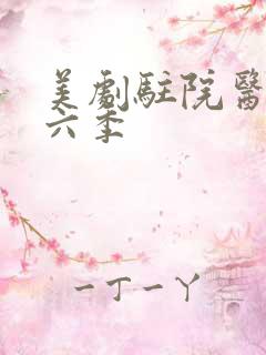 美剧驻院医生第六季