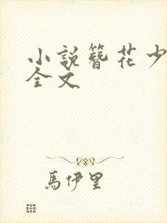 小说簪花少年郎全文