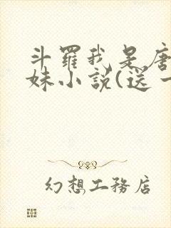 斗罗我是唐三妹妹小说(送一颗小星星)