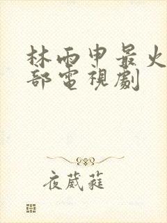 林雨申最火的十部电视剧