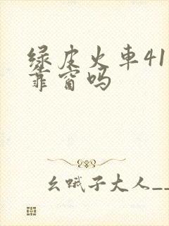 绿皮火车41号靠窗吗