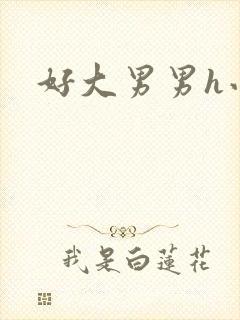 好大男男h小说
