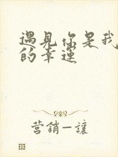 遇见你是我今生的幸运