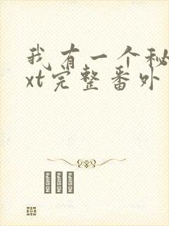 我有一个秘密txt完整番外