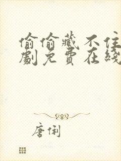 偷偷藏不住电视剧免费在线看