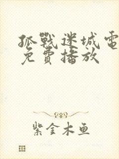 孤战迷城电视剧免费播放