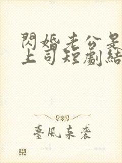 闪婚老公是顶头上司短剧结局