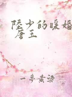 陆少的暖婚新妻 唐玉