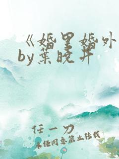 《婚里婚外》 by叶晓井