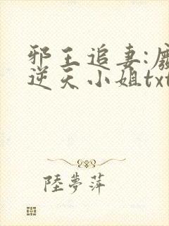 邪王追妻:废材逆天小姐txt