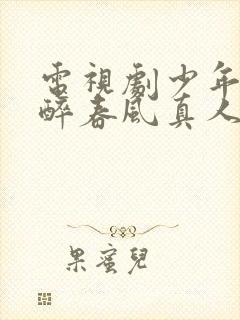 电视剧少年白马醉春风真人版