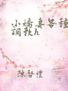 小娇妻各种姿势调教h