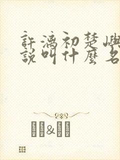 许漓初楚屿安小说叫什么名字