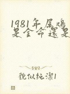 1981年属鸡是金命还是木命