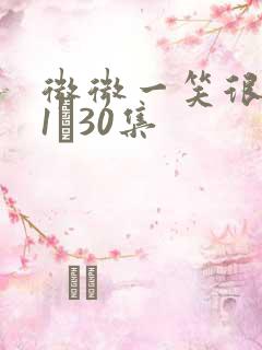 微微一笑很倾城1―30集