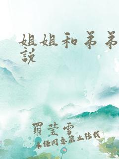 姐姐和弟弟做小说