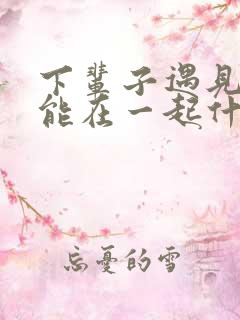 下辈子遇见你还能在一起什么歌