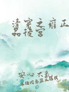 清穿之雍正的级品后宫