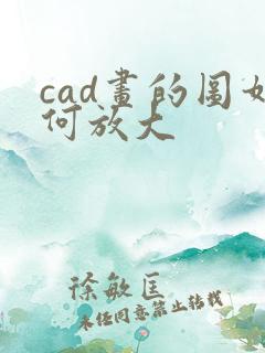 cad画的图如何放大