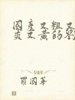 国产又粗又猛又爽又黄的刘涛视