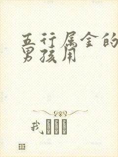 五行属金的小名男孩用