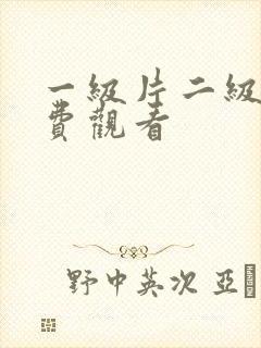 一级片二级片免费观看