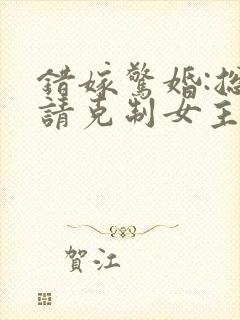 错嫁惊婚:总裁请克制女主