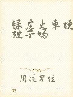 绿皮火车硬卧有被子吗