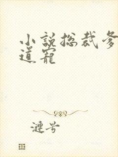 小说总裁爹地霸道宠