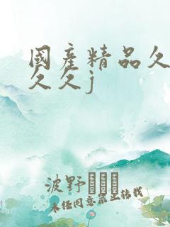 国产精品久久久久久j