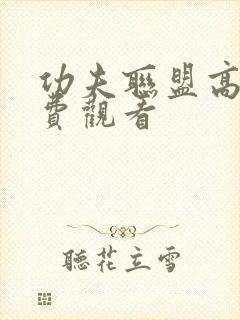 功夫联盟高清免费观看