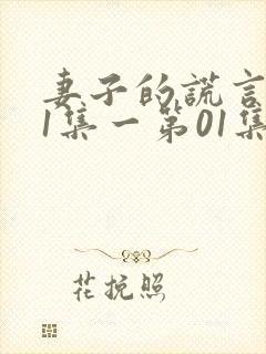 妻子的谎言第01集一第01集